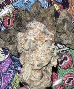 IMG_6304.jpeg