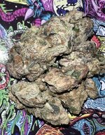 IMG_6305.jpeg