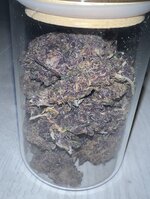IMG_6306.jpeg