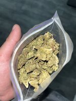 IMG_2593.jpeg