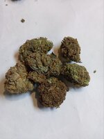 IMG_2336.jpeg