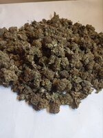 IMG_2329.jpeg