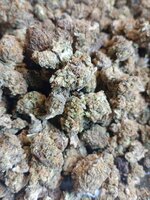 IMG_2332.jpeg
