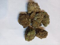 IMG_2330.jpeg