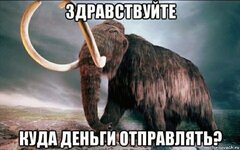 IMG_2624.jpeg