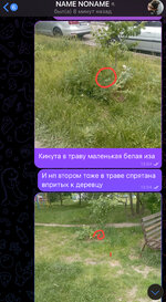 IMG_1437.jpeg