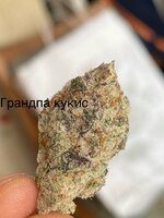 IMG_3135.jpeg