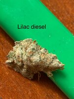 IMG_3119.jpeg