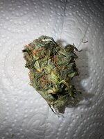 IMG_5055.jpeg