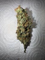 IMG_5054.jpeg