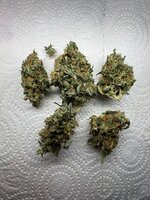 IMG_5052.jpeg
