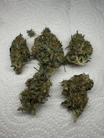 IMG_5051.jpeg