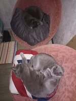 IMG_20250520_004519.jpg