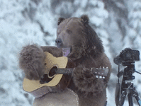 IMG_2644.gif