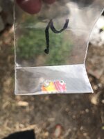 IMG_3210.jpeg