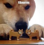 bd34a9edb630481e3b9bada1345ecab2.jpg