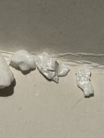 IMG_3447.jpeg