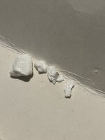 IMG_3446.jpeg