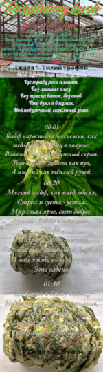 1000168204.png
