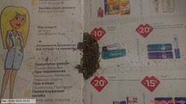 20250525_205243.jpg