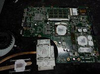 IMG_2684.jpeg