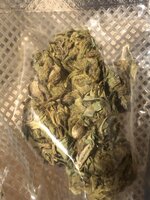 IMG_1197.jpeg