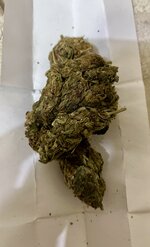 IMG_5150.jpeg