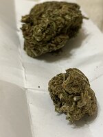 IMG_5152.jpeg