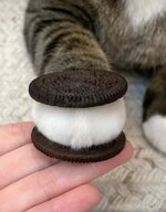 IMG_2699.jpeg