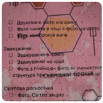 IMG_9203.png