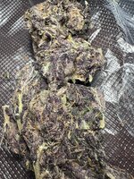 IMG_3813.jpeg
