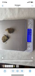 IMG_6836.jpeg