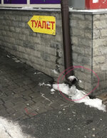 IMG_6510.jpeg