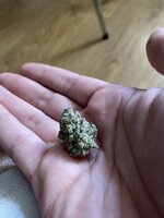 IMG_4634.jpeg