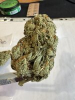 IMG_3360.jpeg