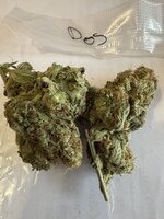 IMG_3359.jpeg