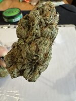 IMG_3361.jpeg