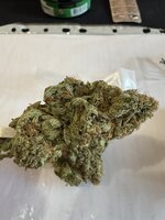 IMG_3364.jpeg
