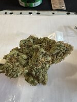 IMG_3365.jpeg