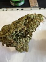 IMG_3366.jpeg