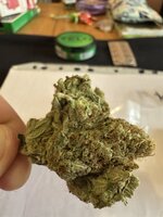 IMG_3368.jpeg