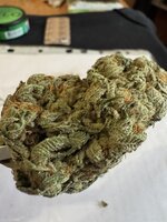 IMG_3370.jpeg