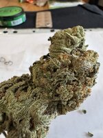 IMG_3371.jpeg