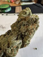 IMG_3372.jpeg
