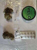 IMG_3374.jpeg