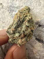 IMG_1854.jpeg