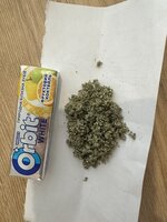 IMG_1856.jpeg