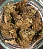 IMG_1269.jpeg