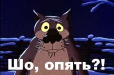 IMG_2743.jpeg