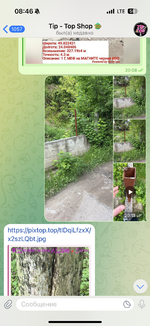 IMG_1427.png